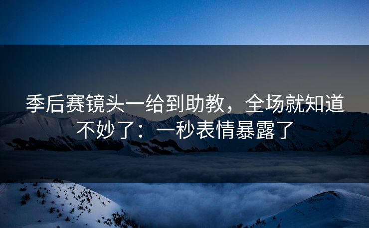 季后赛镜头一给到助教，全场就知道不妙了：一秒表情暴露了