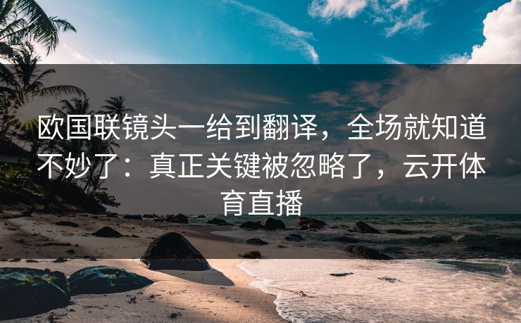 欧国联镜头一给到翻译，全场就知道不妙了：真正关键被忽略了，云开体育直播